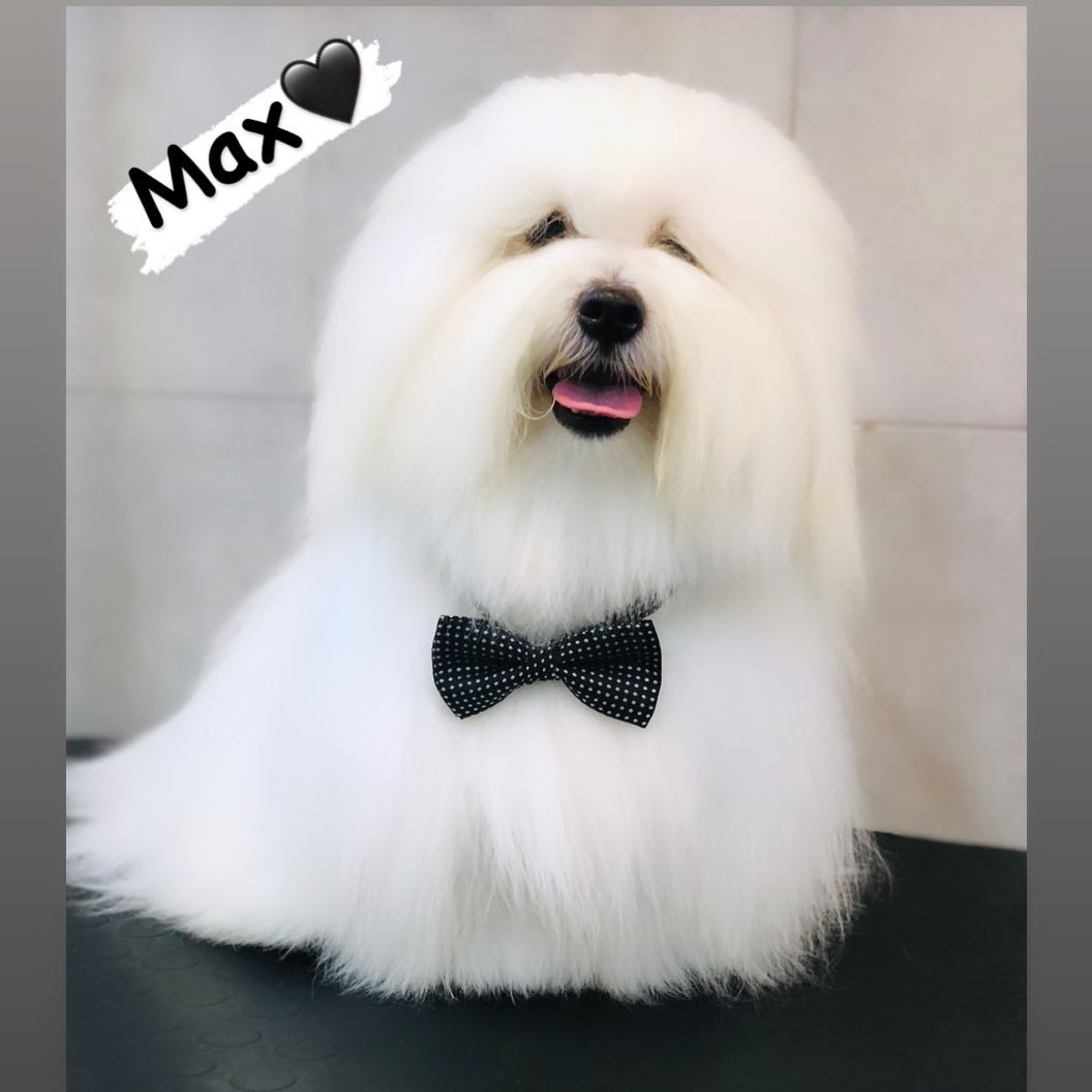 Max